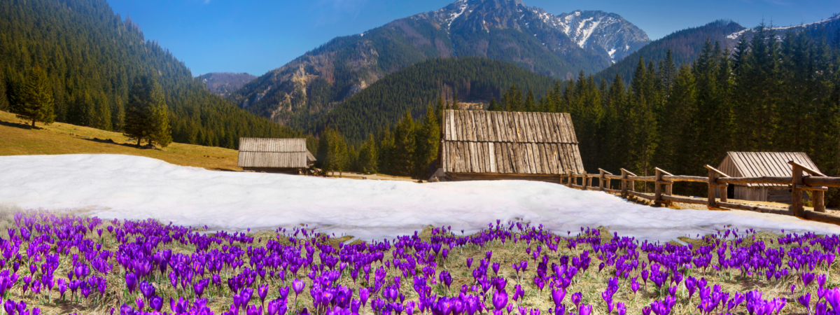 The,Khokholovska,Chocho?owska,Valley,In,The,Tatras,Near,Zakopane,Is