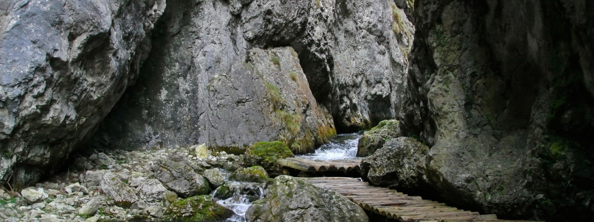 The canyon in Prosiecka Valley in northern Slovakia attracts tourists all year round