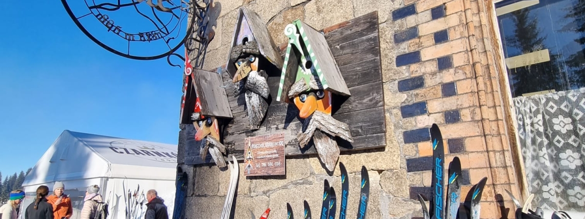 Zdjecie-WhatsApp-2025-01-18-o-16.24.54_53229f91