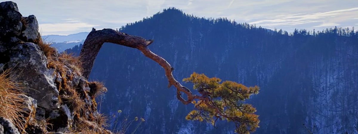 Zdjecie-WhatsApp-2025-01-25-o-15.59.25_dd9fb862