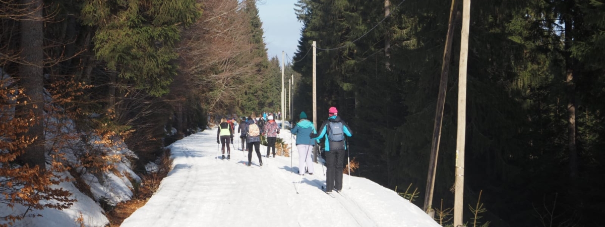 Zdjecie-WhatsApp-2025-02-08-o-17.18.33_ccb82945