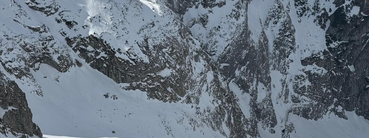 Zdjecie-WhatsApp-2025-03-09-o-13.22.44_725b58f1