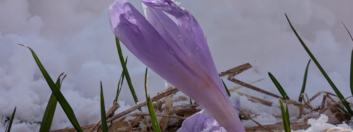 Zdjecie-WhatsApp-2025-04-06-o-15.41.52_c20d9e4a