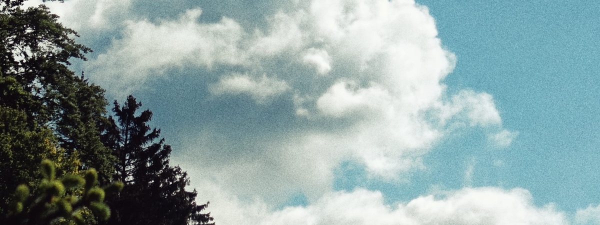 Zdjecie-WhatsApp-2025-05-25-o-20.11.37_7b6bfa12