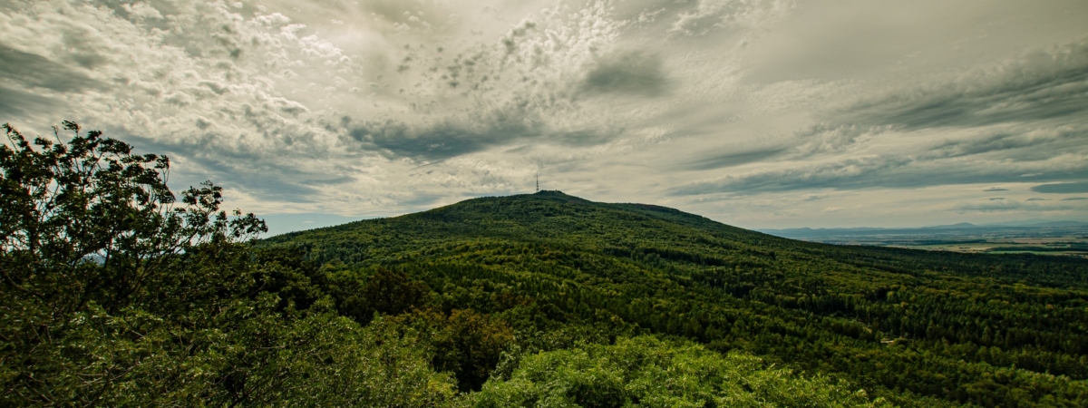 537598032_1175511171289802_2783778080304993859_n