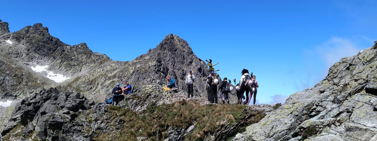 Zdjecie-WhatsApp-2025-06-28-o-17.11.43_59c35007