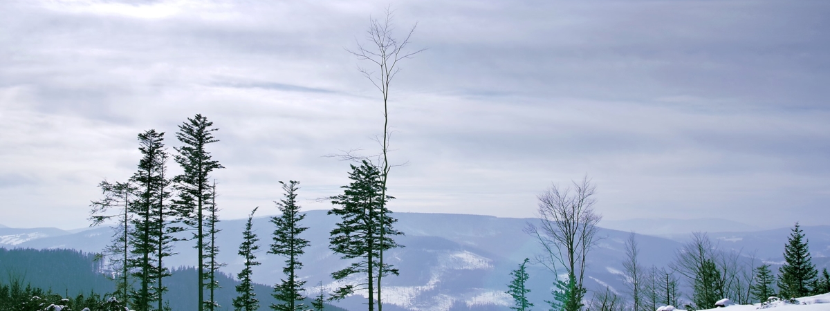 572164534_1229338625907056_2736302679734332336_n (1)