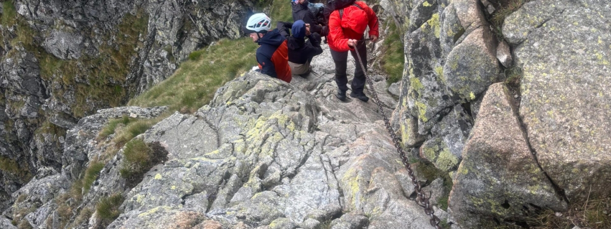 Zdjecie-WhatsApp-2025-07-14-o-10.38.34_10f2c17a-1