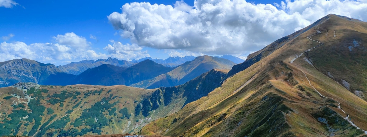 Zdjecie-WhatsApp-2025-08-30-o-15.55.01_e6241f6f