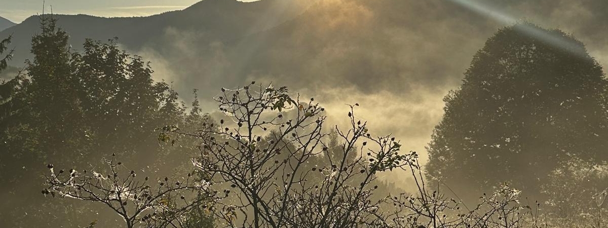 Zdjecie-WhatsApp-2025-09-22-o-01.50.04_20f4b92c