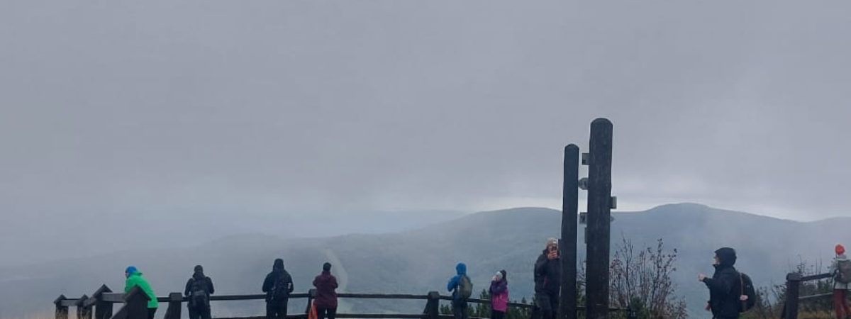 Zdjecie-WhatsApp-2025-10-05-o-20.38.57_8b3506d9