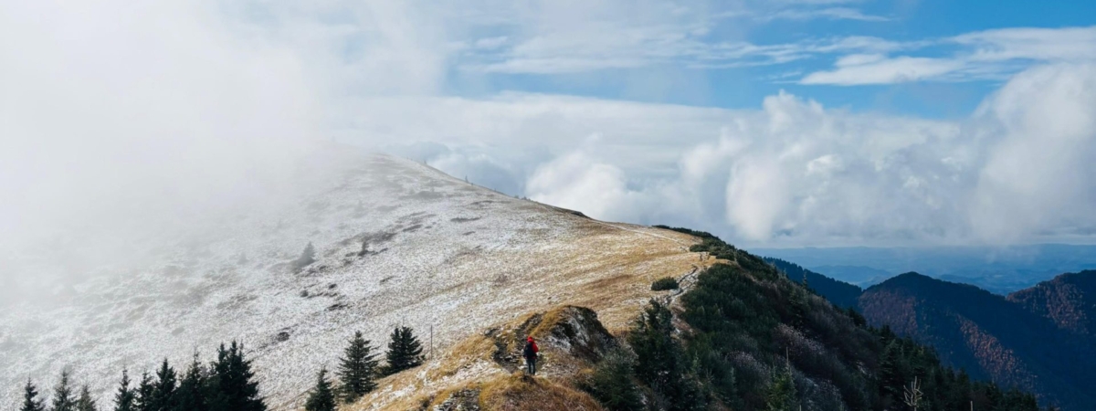 Zdjecie-WhatsApp-2025-10-26-o-23.38.39_b3c344a4-1