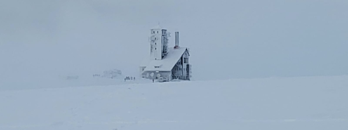 Zdjecie-WhatsApp-2024-12-08-o-17.00.47_0bbdd525