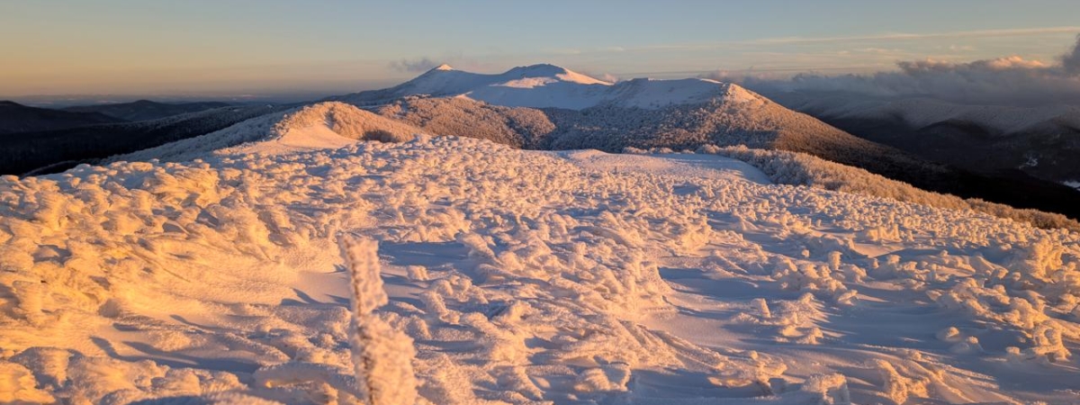 WhatsApp-Image-2026-01-05-at-12.16.25