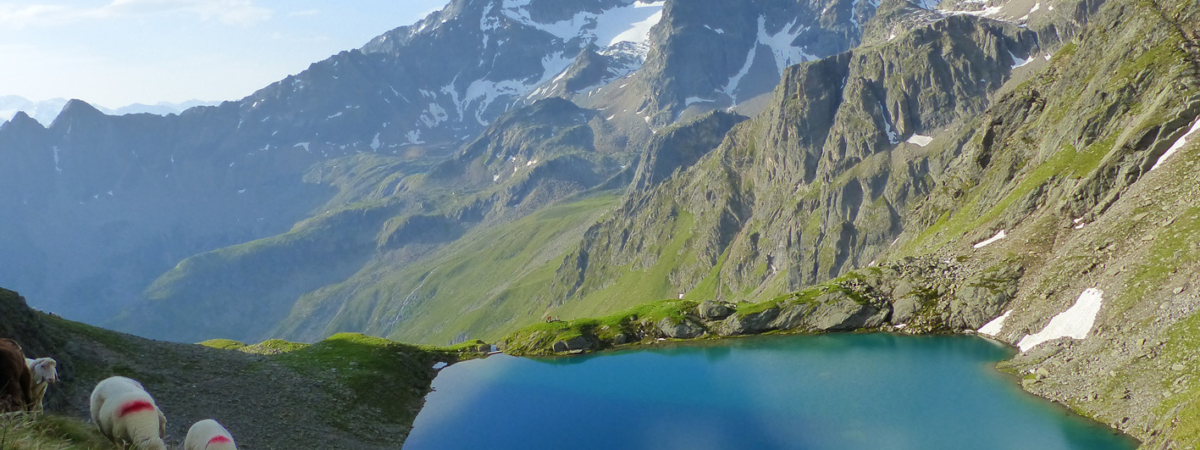 4_seen_marsch_laeng_weisser_see_02_14