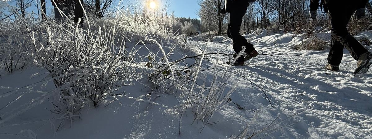 WhatsApp-Image-2026-01-10-at-21.18.08