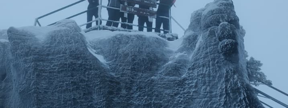 WhatsApp-Image-2026-02-21-at-18.35.57