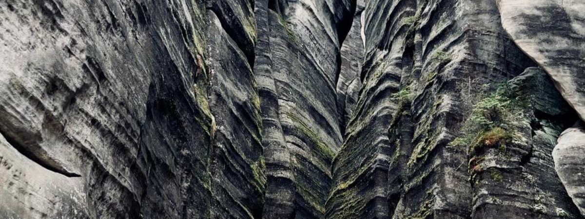 WhatsApp-Image-2026-03-29-at-17.19.51